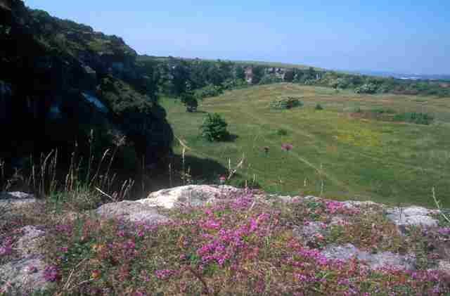 Marsden Old Quarry - South Tyneside Council